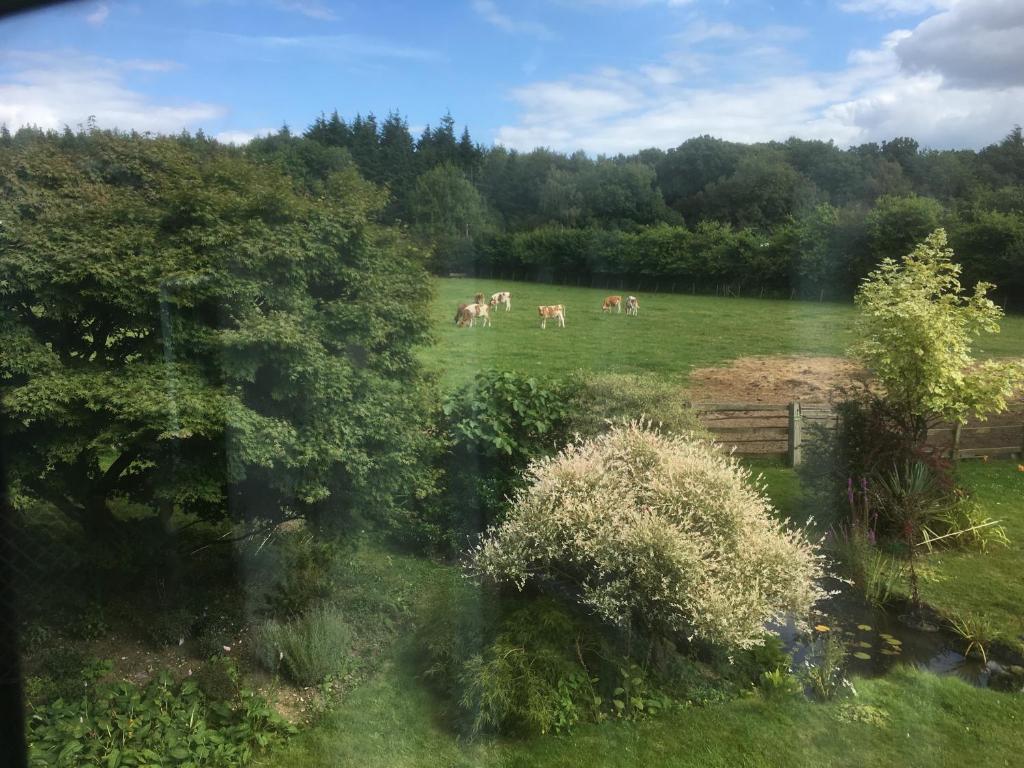 Woodlands Cottage Farm photo