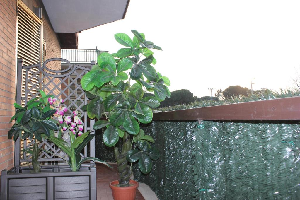 Roman Sunrise Rooms photo