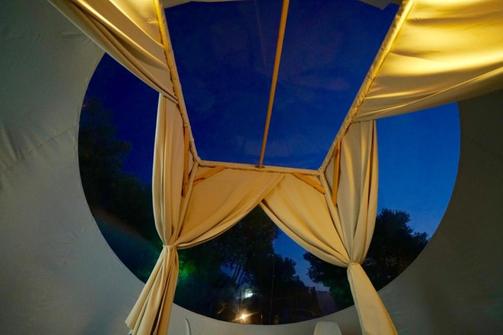 Bubble Tents photo
