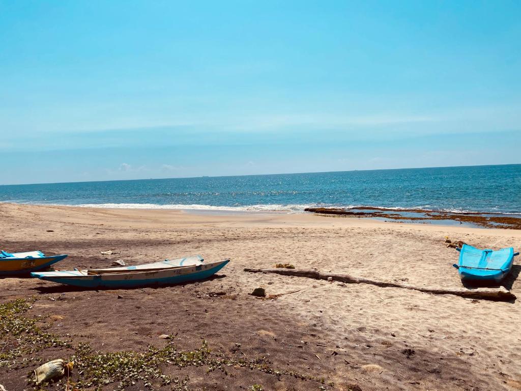 The Lighthouse Negombo photo