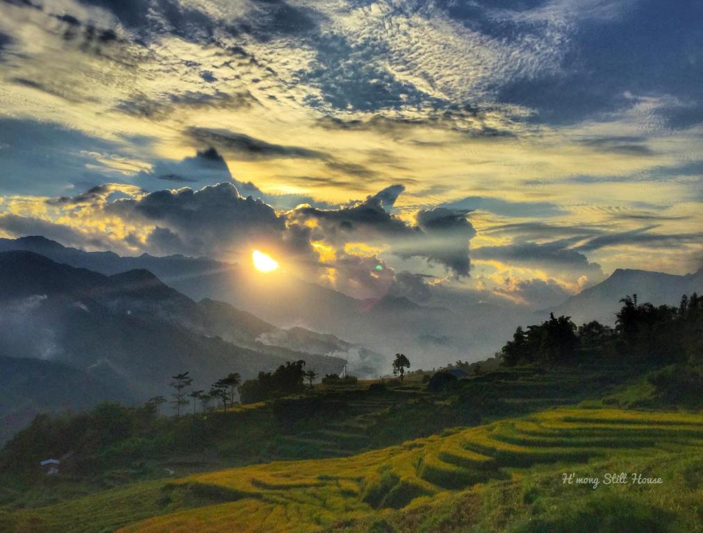 Surrounding environment