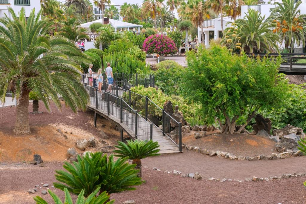 Las Marismas de Corralejo — Attractions in the area in Corralejo, Canary Islands