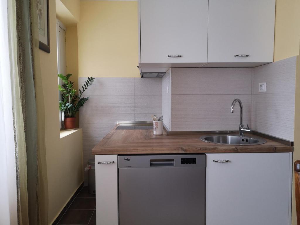 Apartman Glomazic - 5