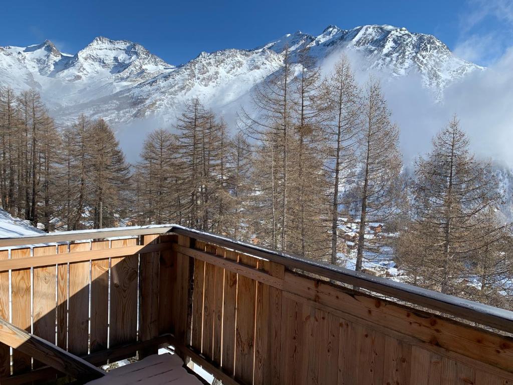 Chalet Birkhahn photo