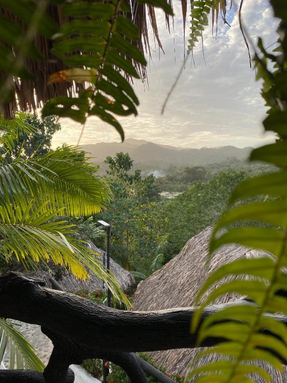 Quetzal Dorado Eco-Lodge photo