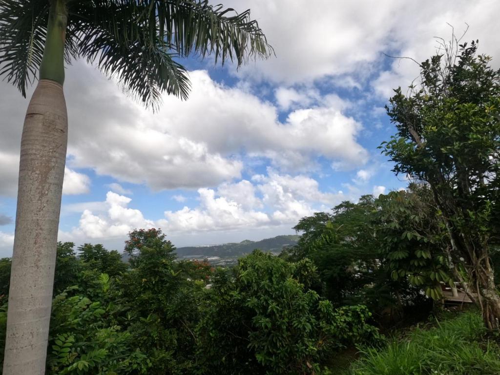 Camping para dos - a escoger segun disponibilidad de caseta o cabana photo