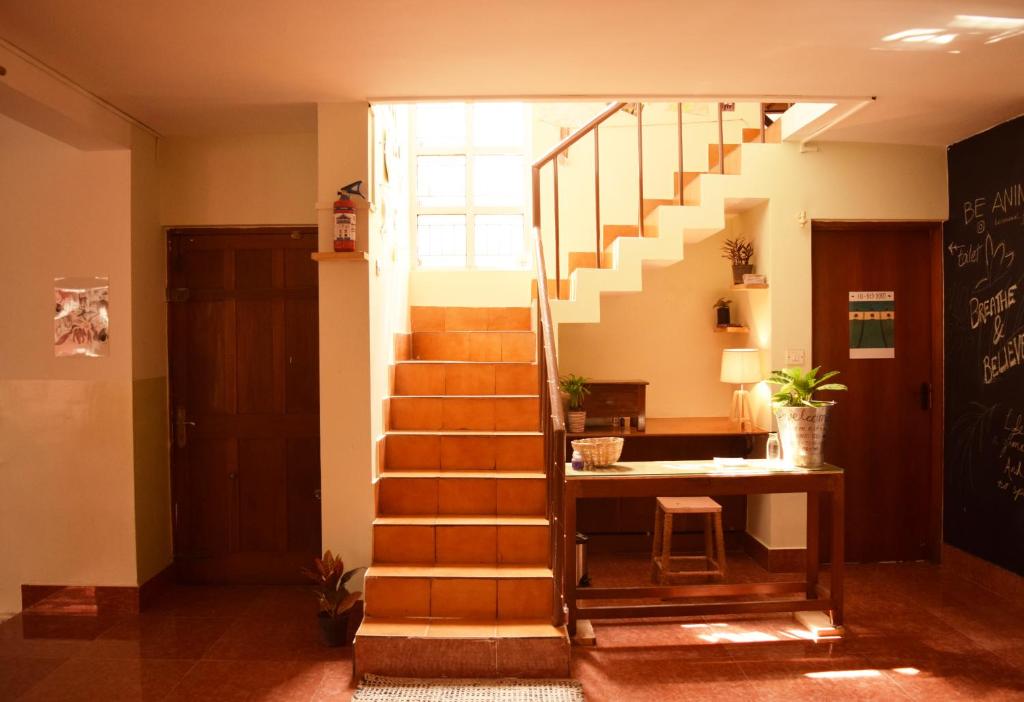 BE ANIMAL Hostel photo