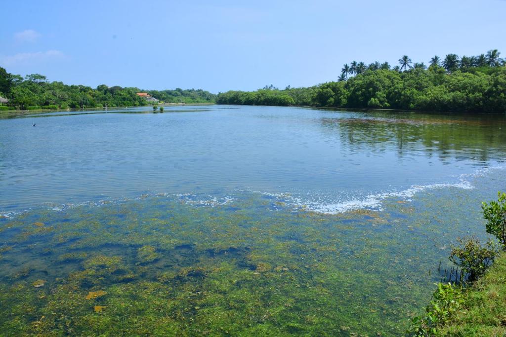 Rock Pool Residence — Hotel in Tangalle