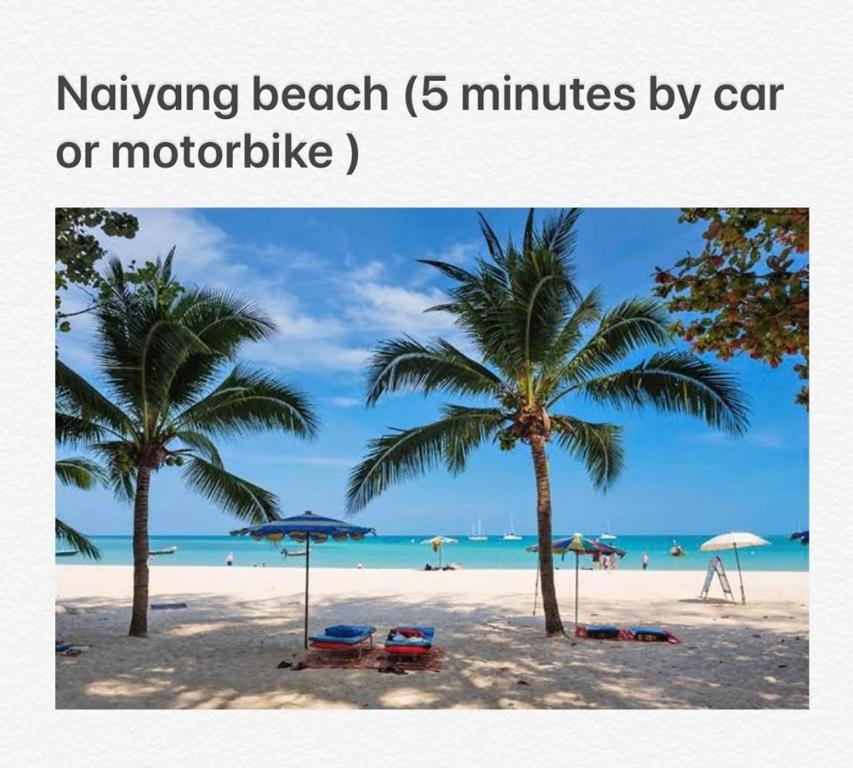 Ảnh 5
