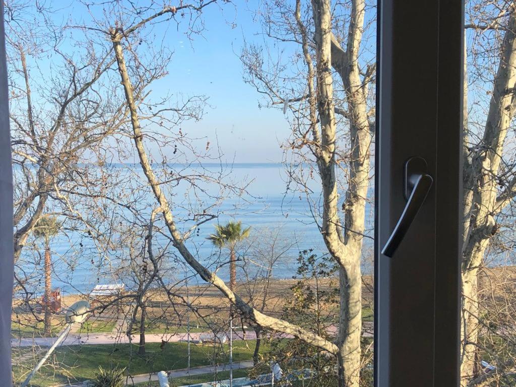 Yalova Merkez photo