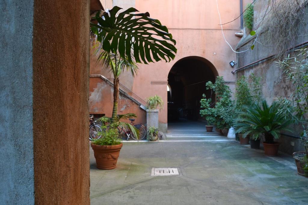 Palazzo Velli photo