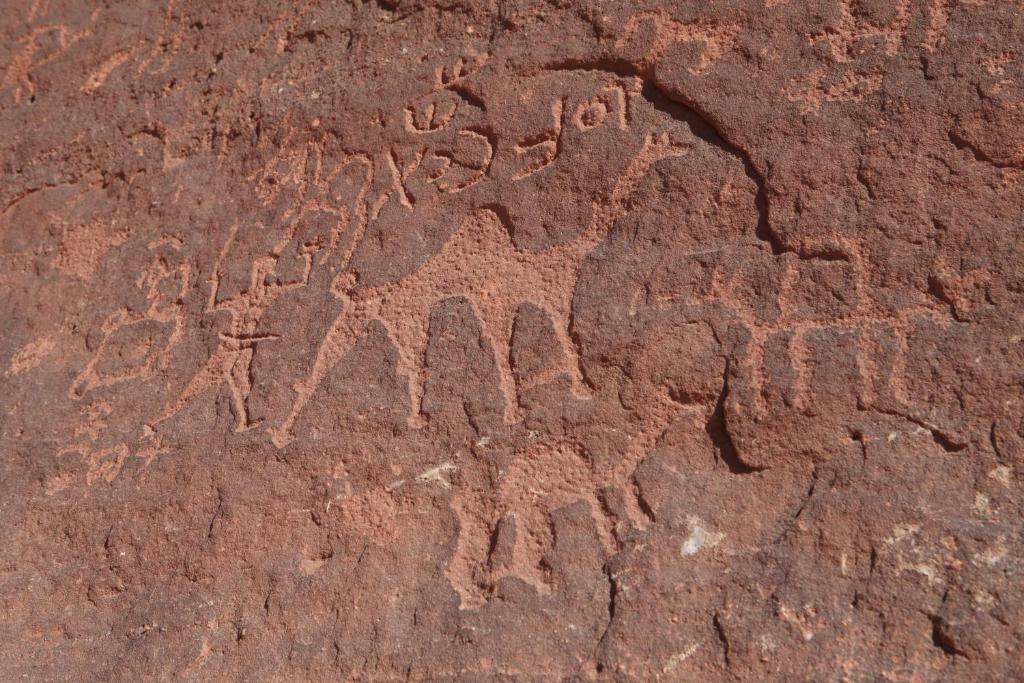 Surrounding environment