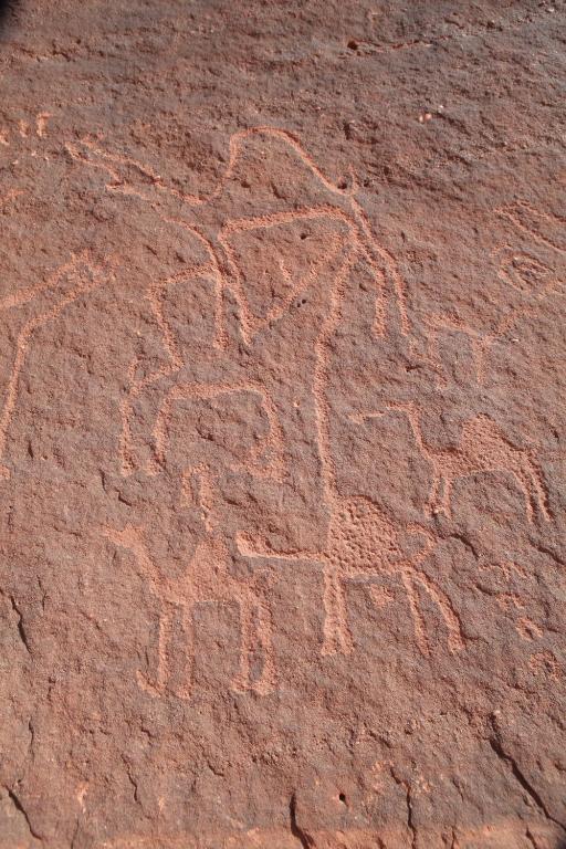 Surrounding environment