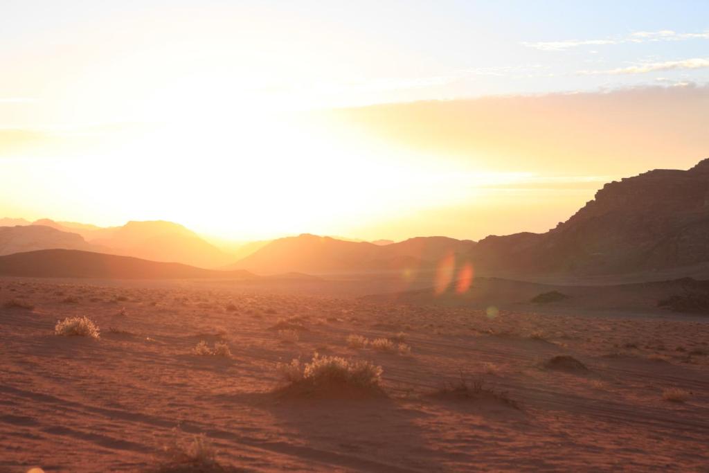 Surrounding environment