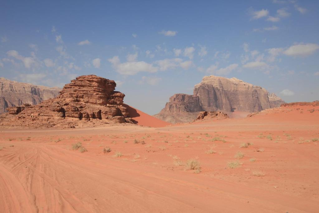 Surrounding environment