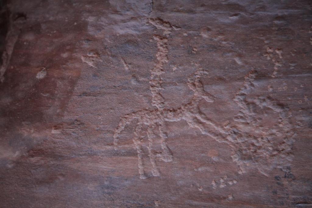 Surrounding environment