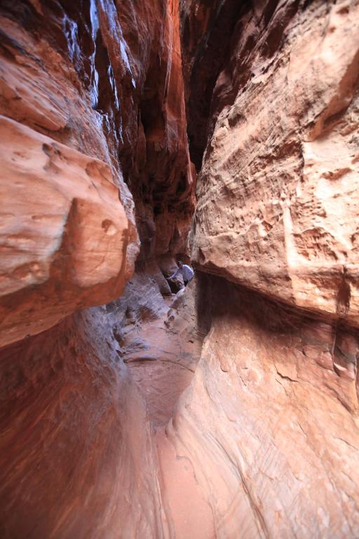 Surrounding environment