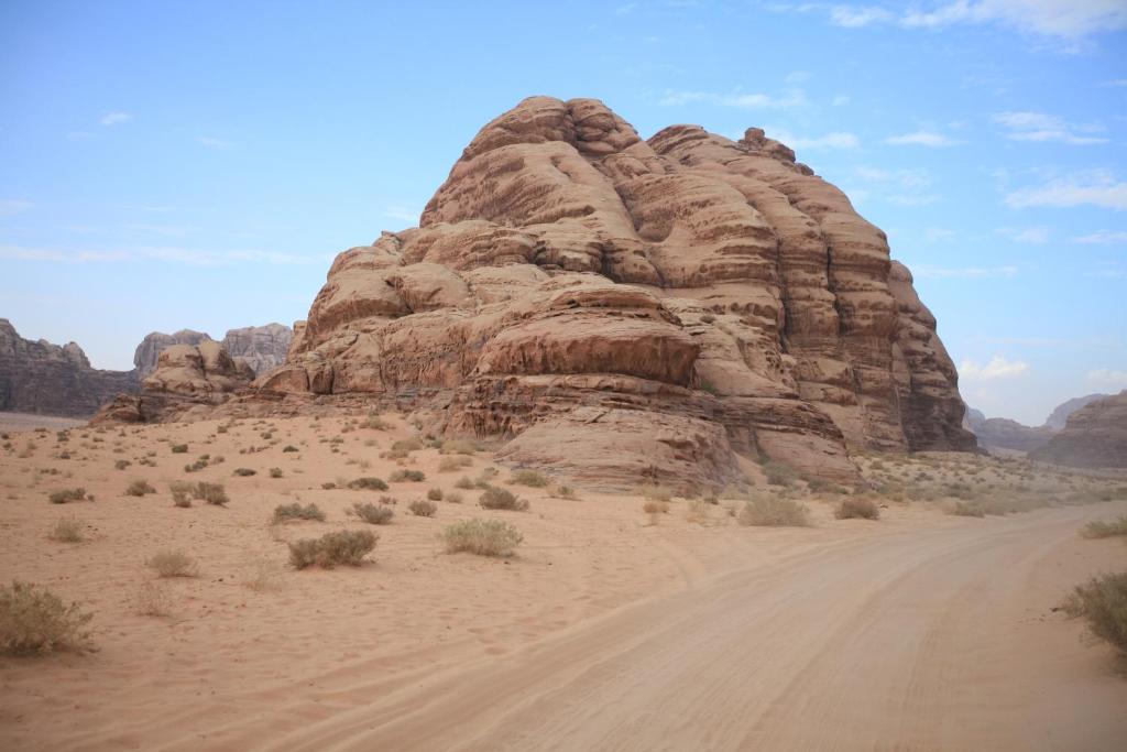 Surrounding environment