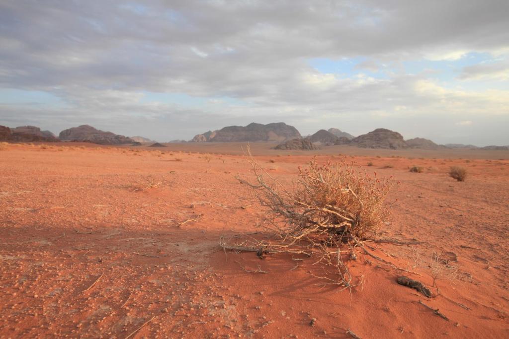 Surrounding environment