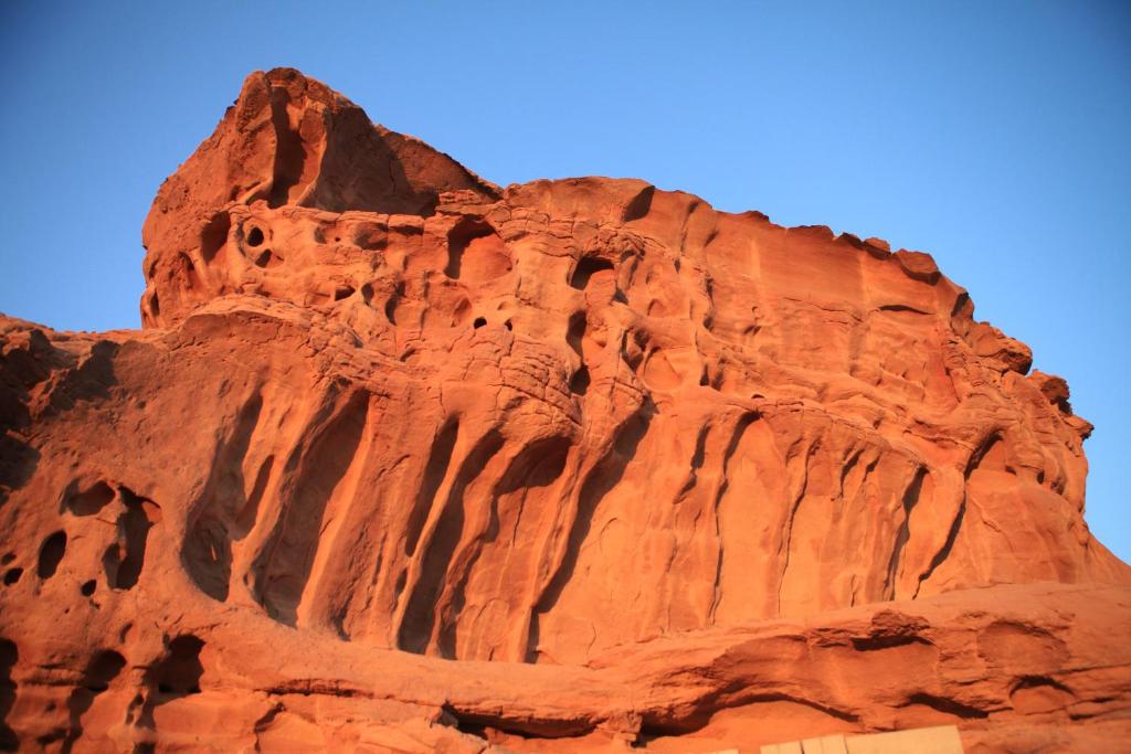 Surrounding environment