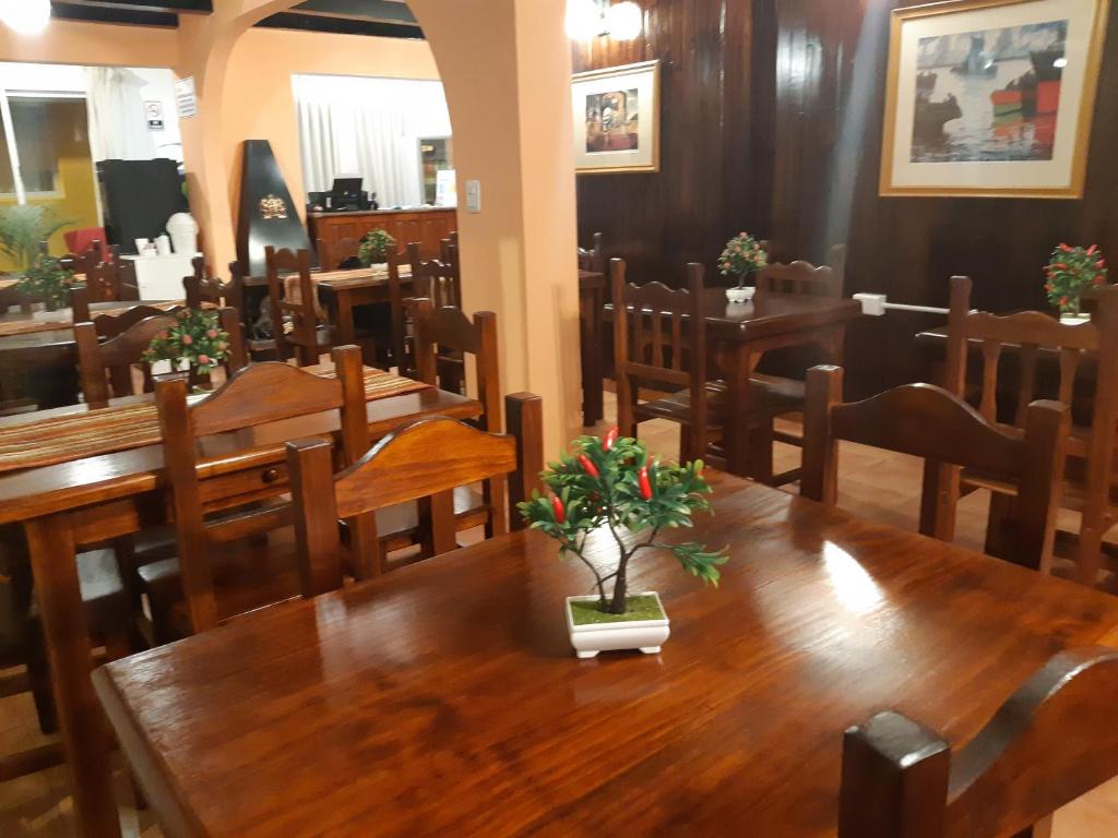 Hotel El Nevado, Malargue Mendoza photo