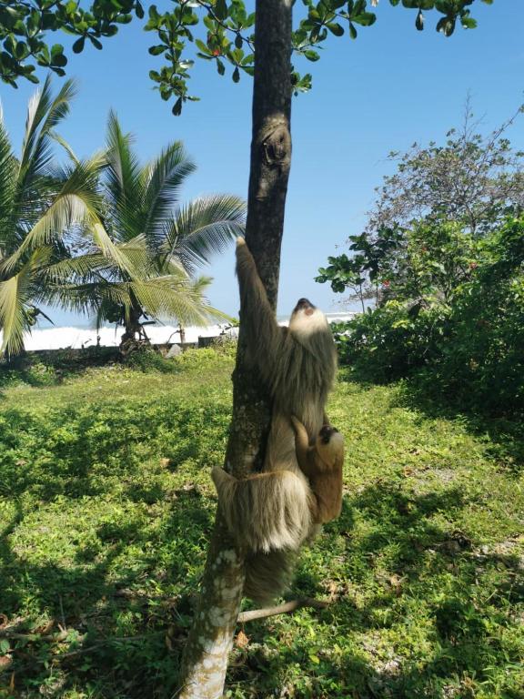 Surrounding environment