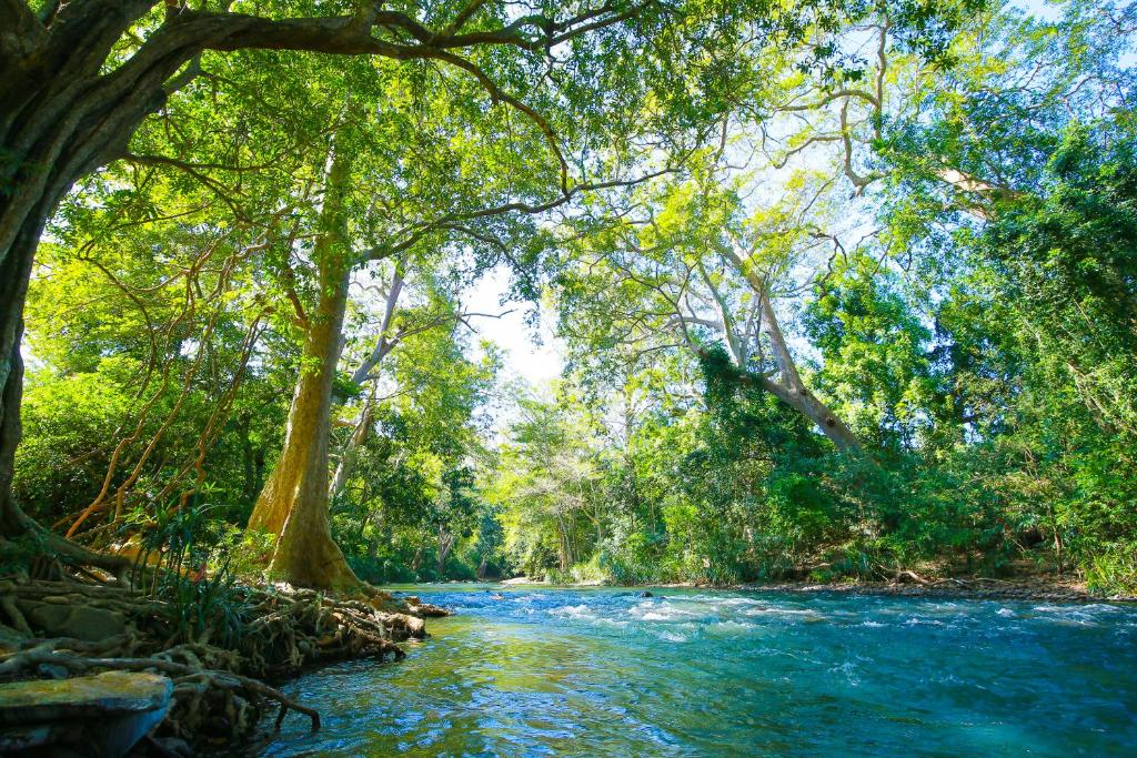 River Cottage — Hotel in Wellawaya