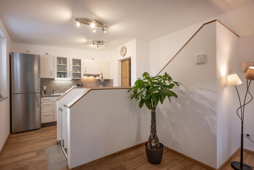 Appartement Sophie - 3