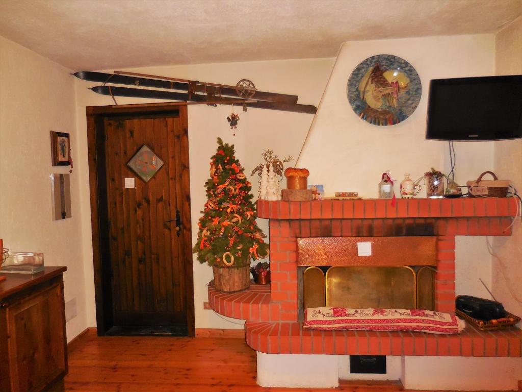 Edelweiss- ski in/out photo