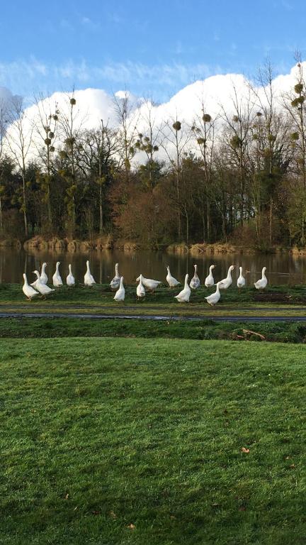 Itineraire Saint Macaire En Mauges Saint Macaire En Mauges Trajet Distance Duree Et Couts Viamichelin