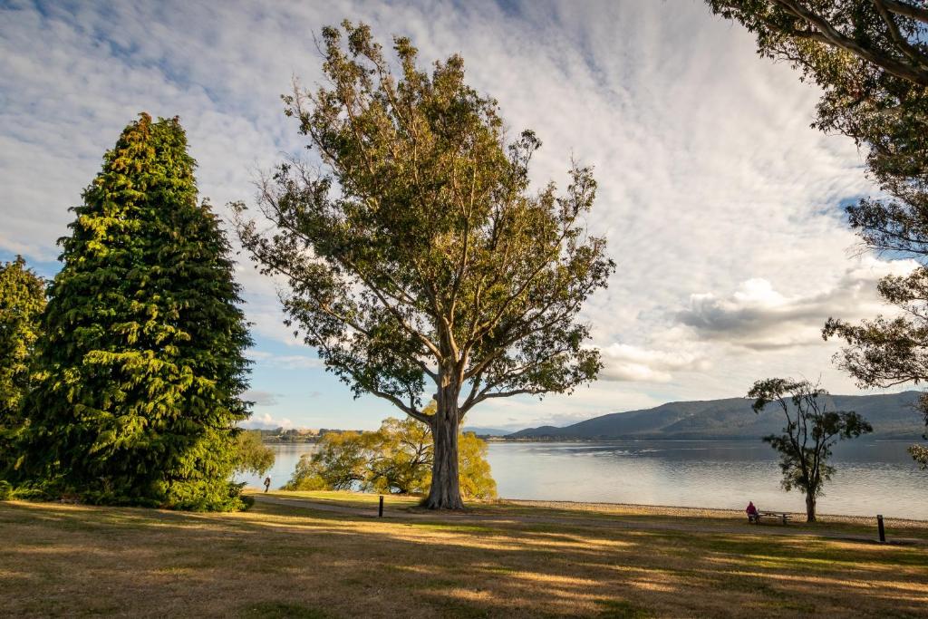 Hop, Skip and Jump to the Lake - Te Anau Holiday House photo