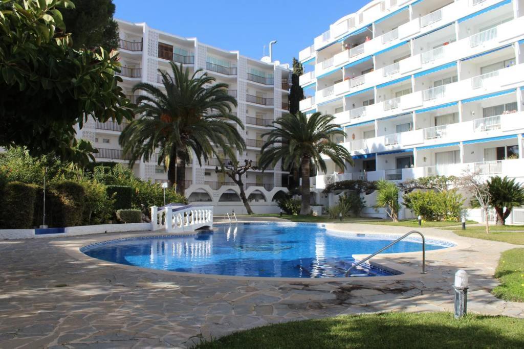 Acapulco Apartment In Santa Ponsa Spain Reviews Price From 59 Planet Of Hotels