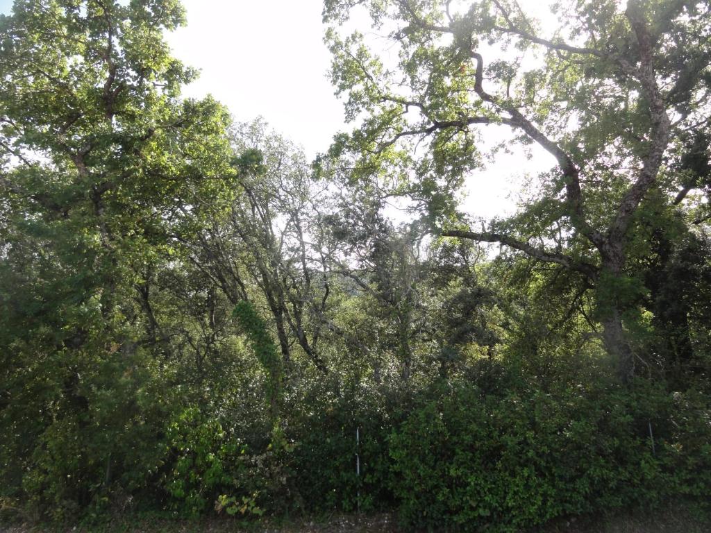 Gite le bagnol un coin de paradis, Maubec