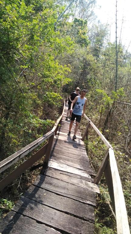 Surrounding environment