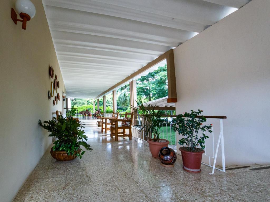 Hotel Diria Santa Cruz photo