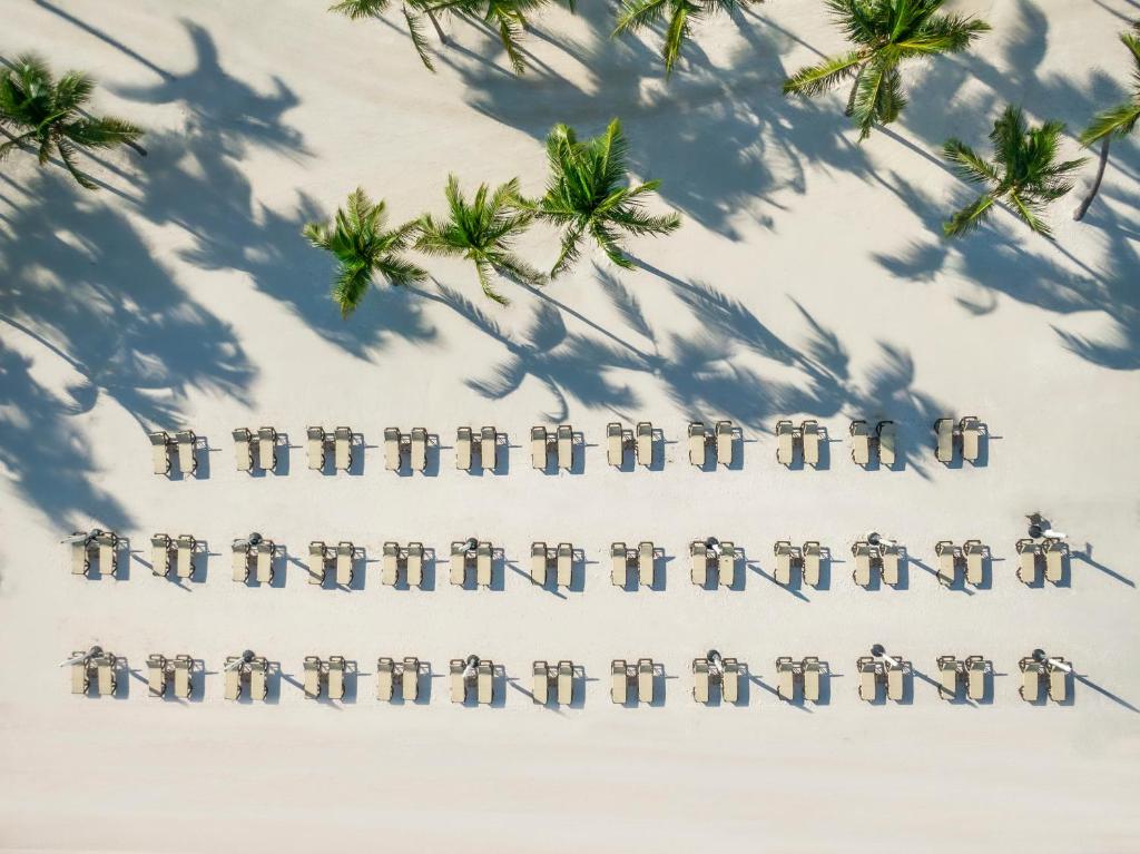 Hyatt Ziva Cap Cana - All Inclusive photo