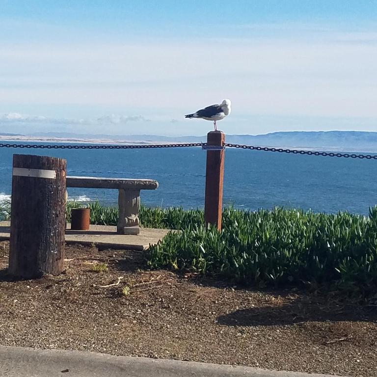Shell Beach Inn photo