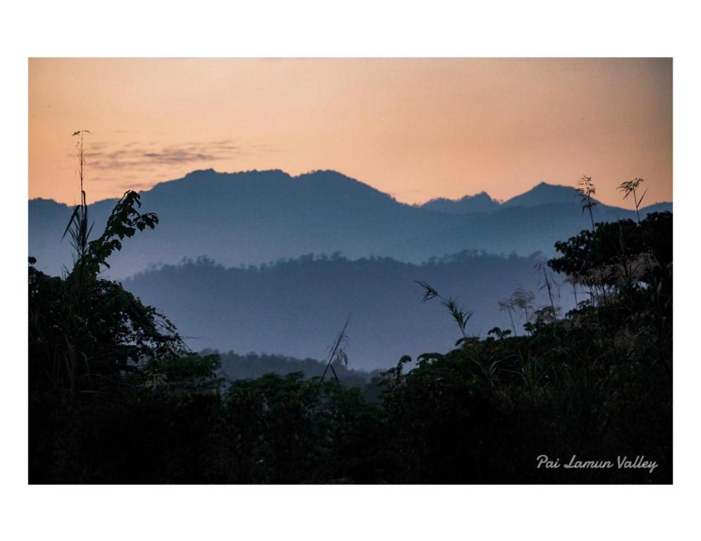 Surrounding environment