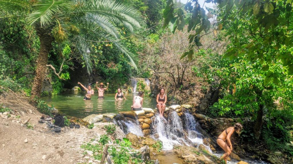 TRIBE AQUA a nature retreat above Neer waterfall — Hotel in Tapovan
