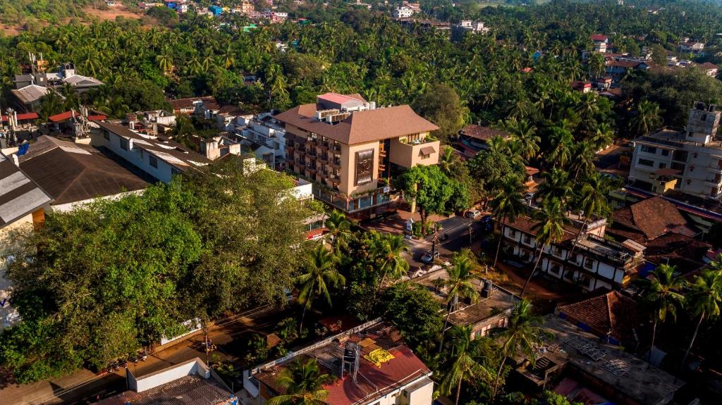 周辺観光スポット