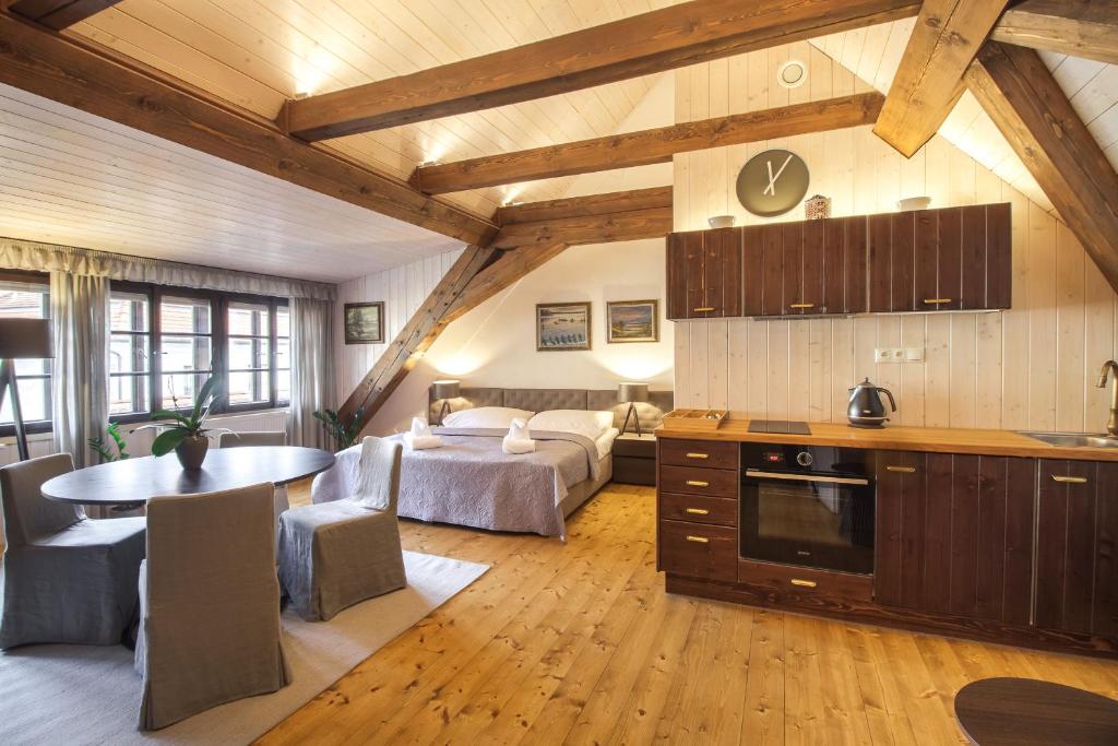 Kitchen, Apartmany Supina in Trebon