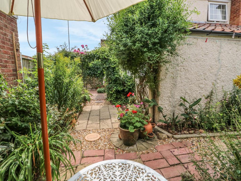 Megs Cottage, Norwich photo 6