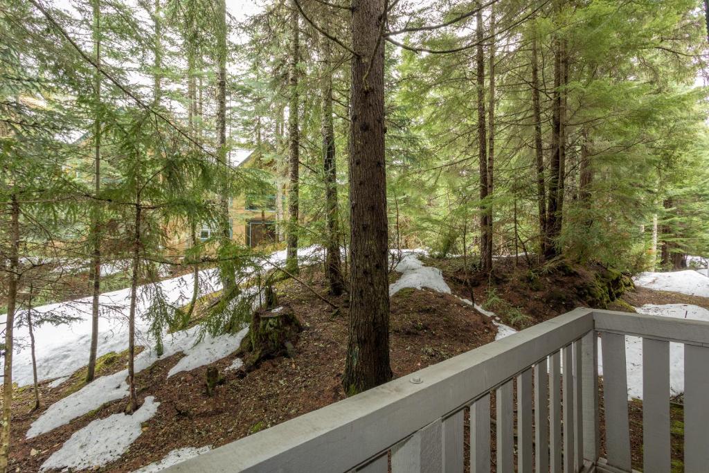 Forest Trails by Whistler Premier photo