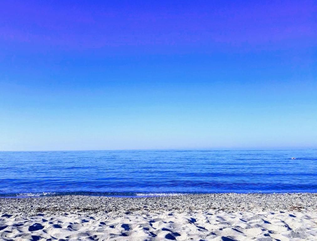 Calmare photo