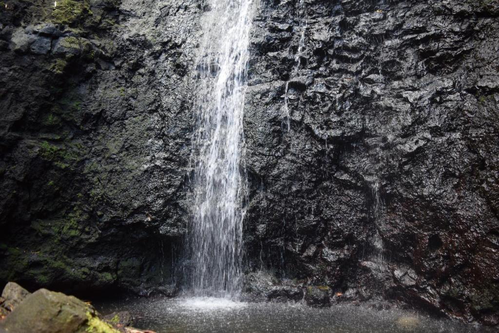 Sports and activities