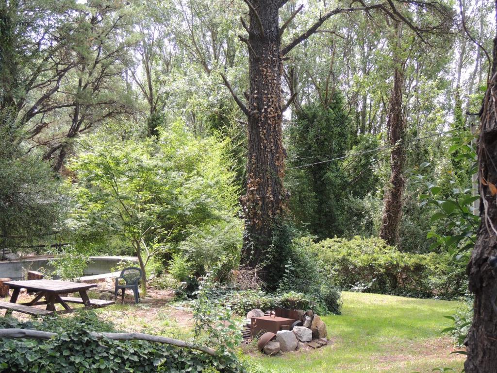 Aldea del bosque - 5