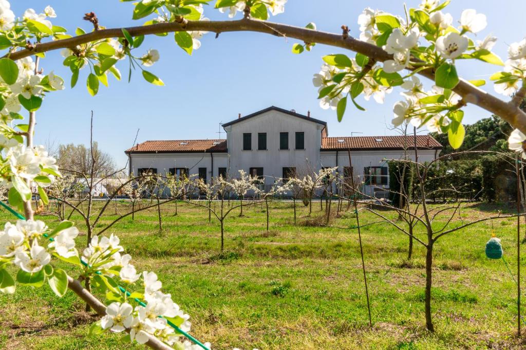 Agriturismo Ca' Baccan - 2