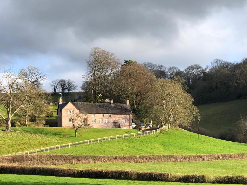 Walnut Tree Farm