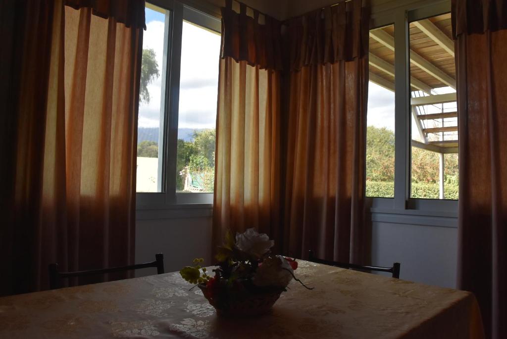 Apartdora photo