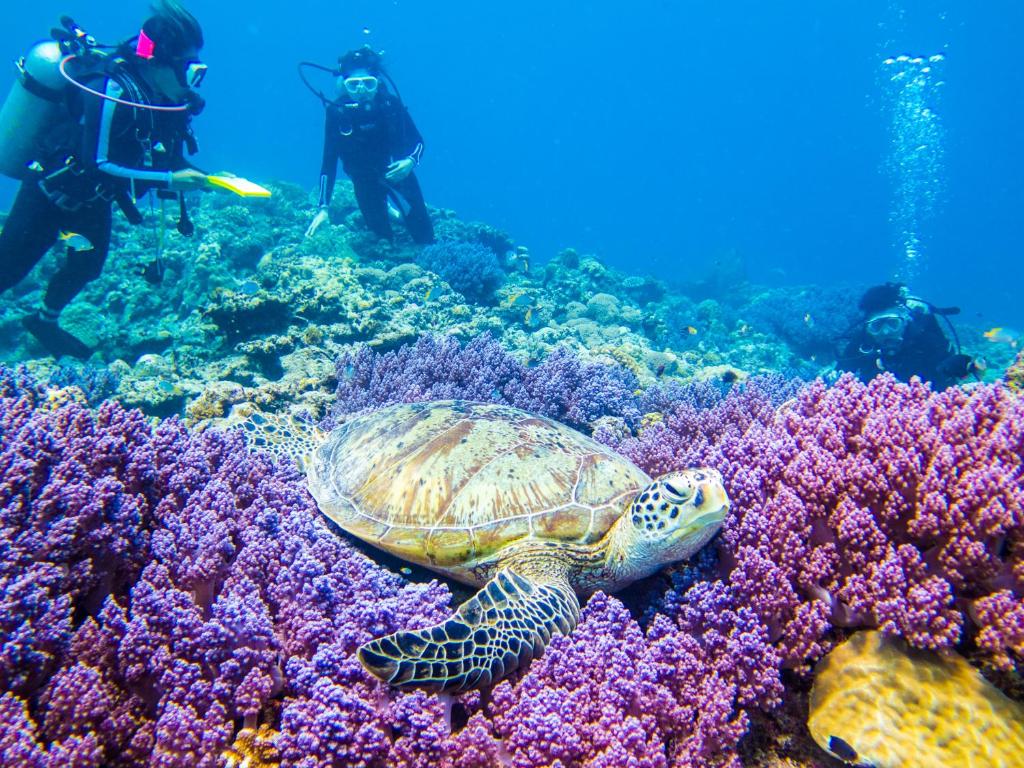 Sports and activities